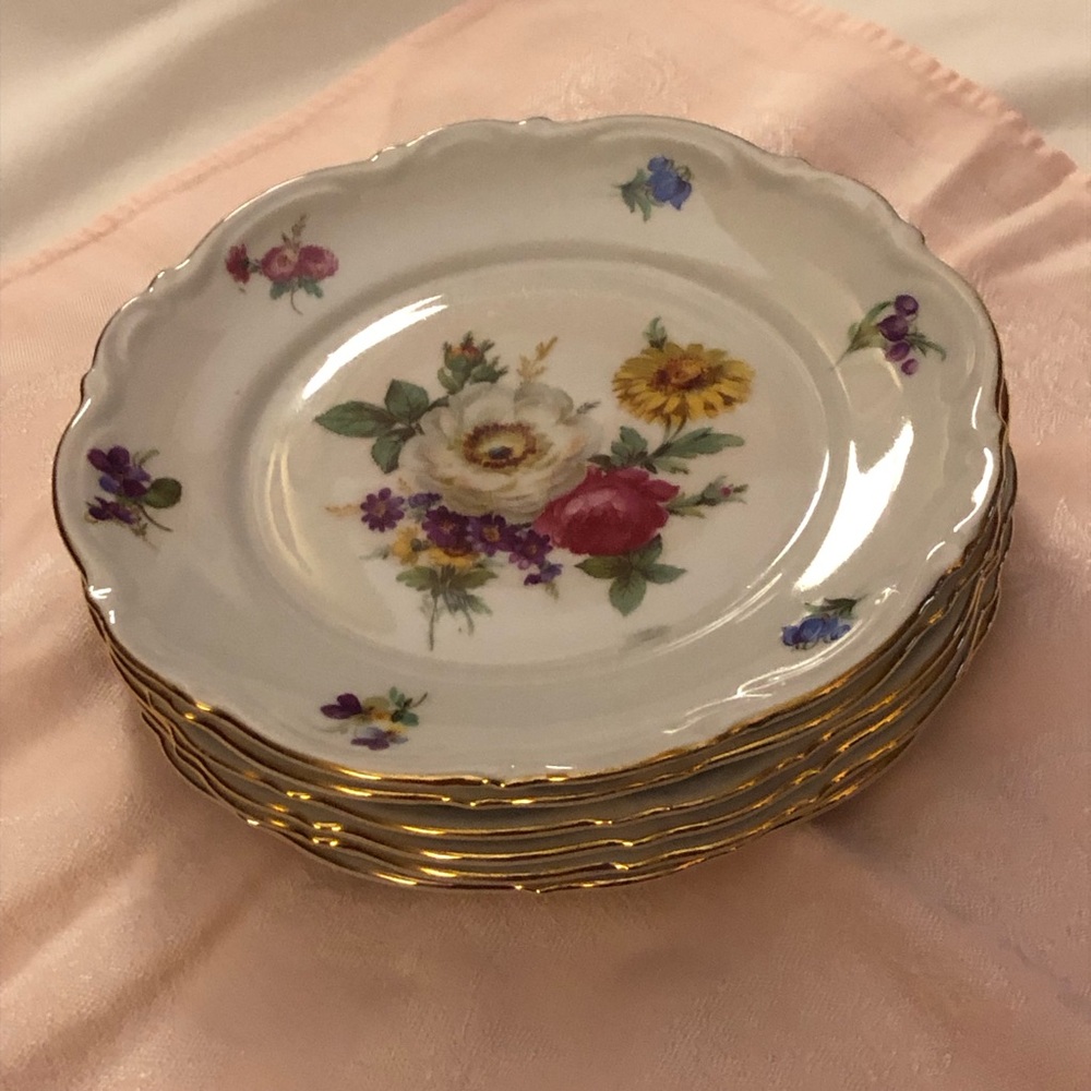 Mitterteich Bavaria Meissen Floral Gold-Trim Porcelain Dessert Plates GORGEOUS!